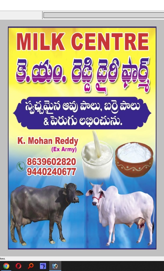 Dairy Products Banner